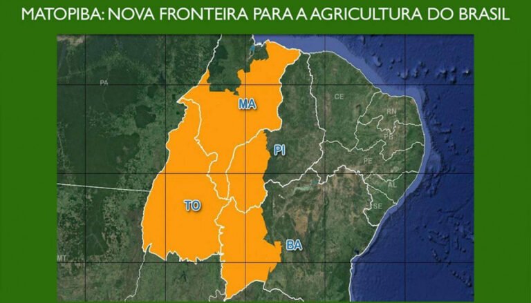 Matopiba: Desafios e perspectivas para a fronteira agrícola