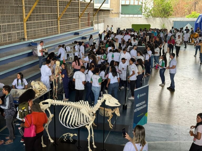 Alunos de 13 escolas públicas vivenciam profissões em evento imersivo