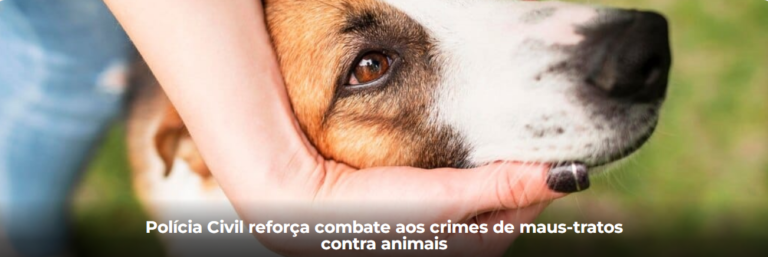 Polícia Civil reforça combate aos crimes de maus-tratos contra animais