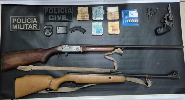 Polícia Civil realiza apreensões de armas de fogo e dinheiro na região de Corrente